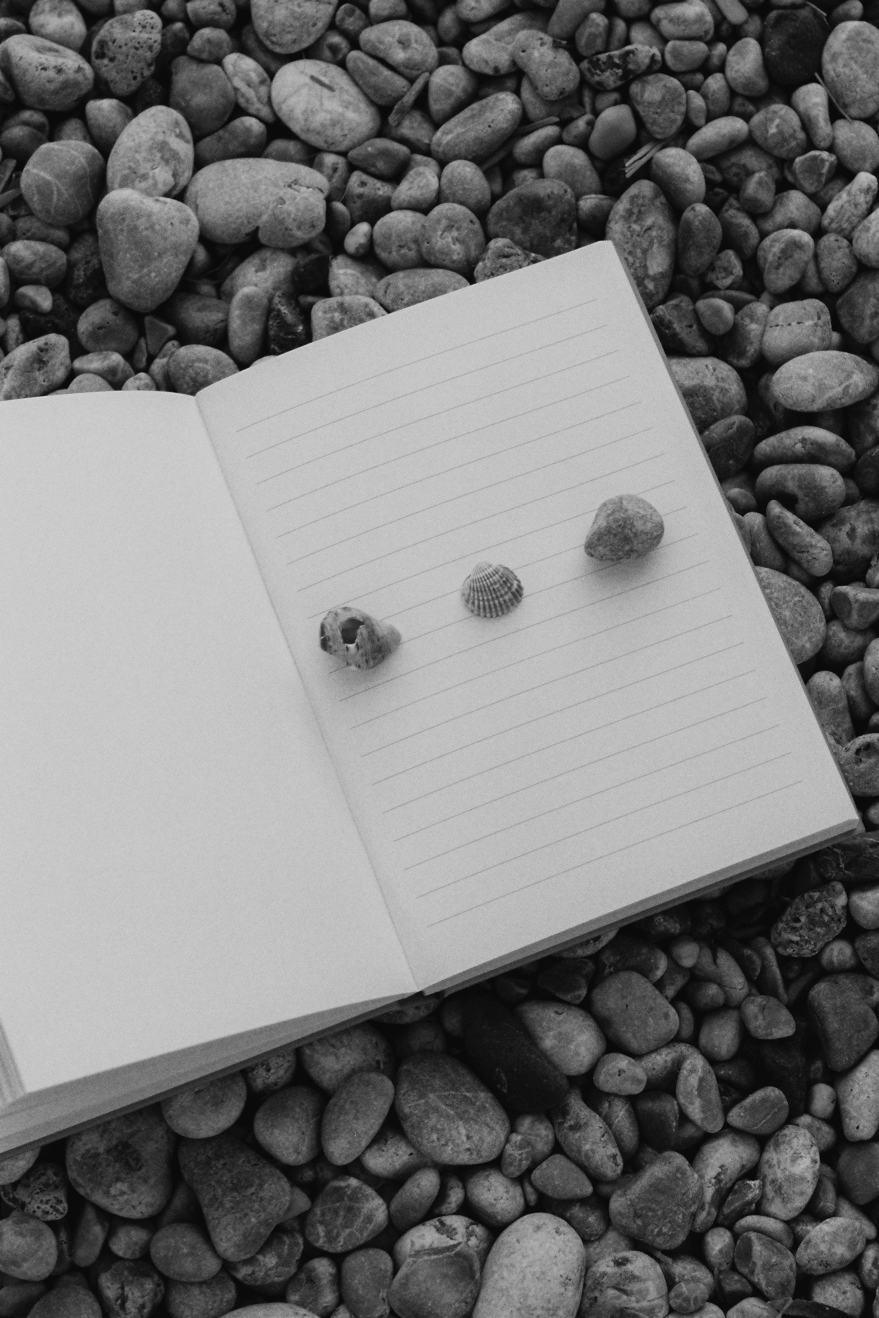 Things We Remember - Journal